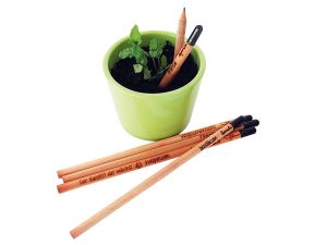 plantable sprout pencils