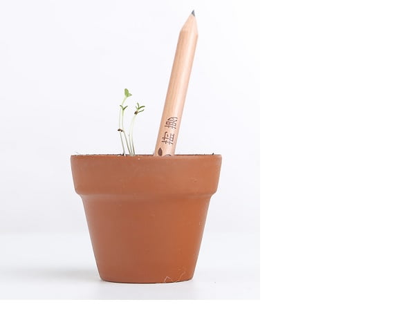 plantable sprout pencils