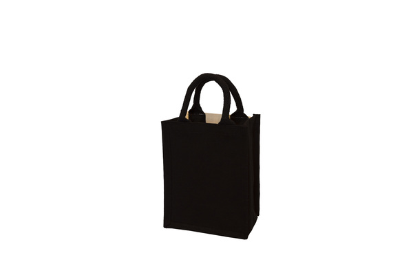 MOFY Laminated Canvas Bag (Small)