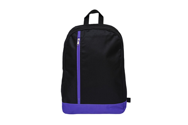 ZICO Stylish Backpack